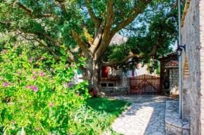 Отель Menelia Cottage  Платистома